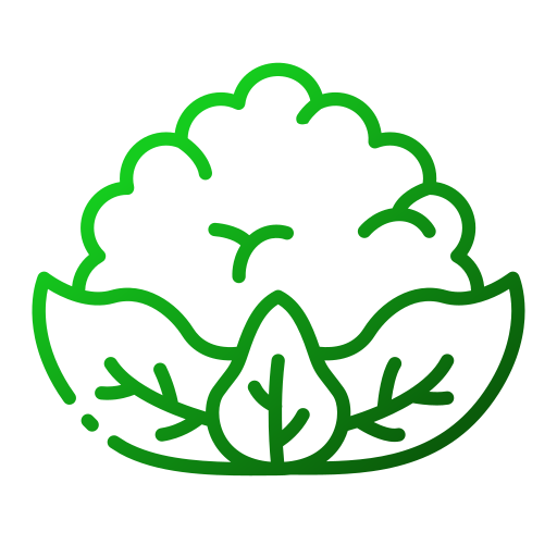 Цветная капуста бесплатно иконка