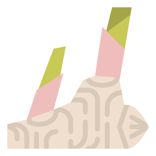 galanga icono gratis