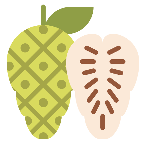 morinda icono gratis