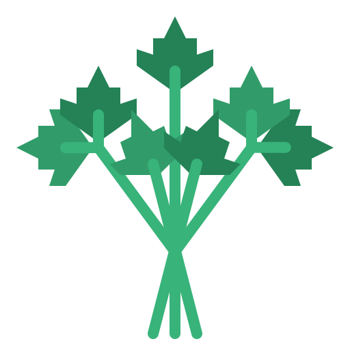Parsley free icon
