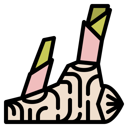 galanga icono gratis