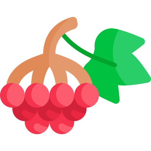 beeren kostenlos Icon beeren kostenlos Icon