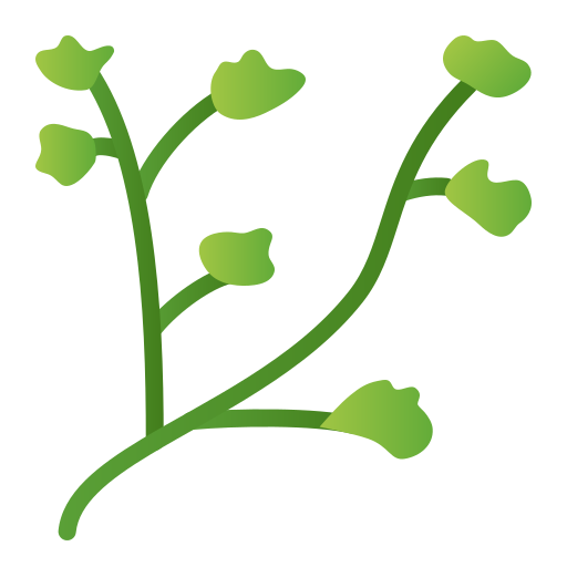 Fern free icon