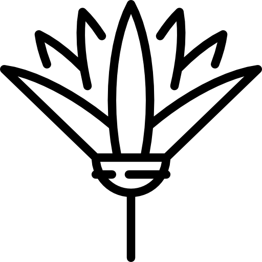 egyptian symbol flower
