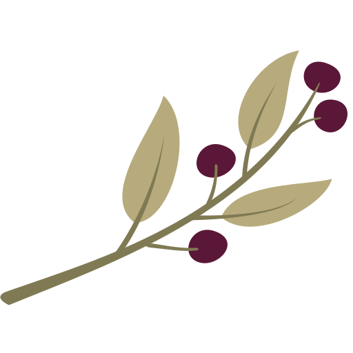 말린 씨앗 무료 아이콘