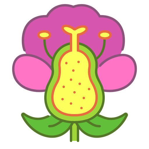 escola grátis ícone