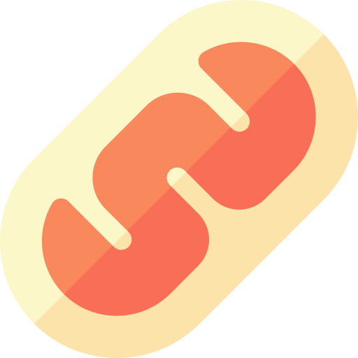 mitochondries Icône gratuit