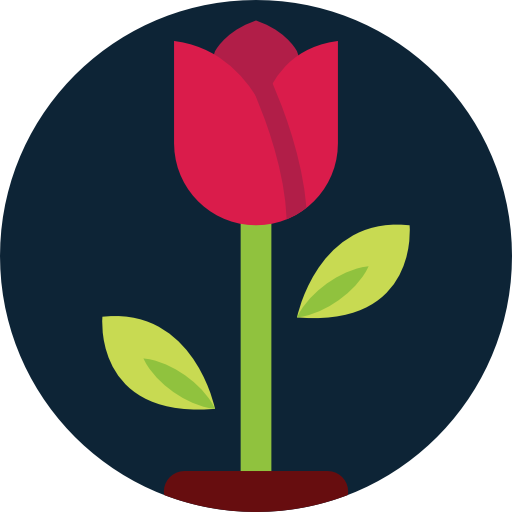 rosa icono gratis