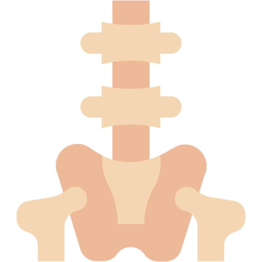 columna vertebral icono gratis