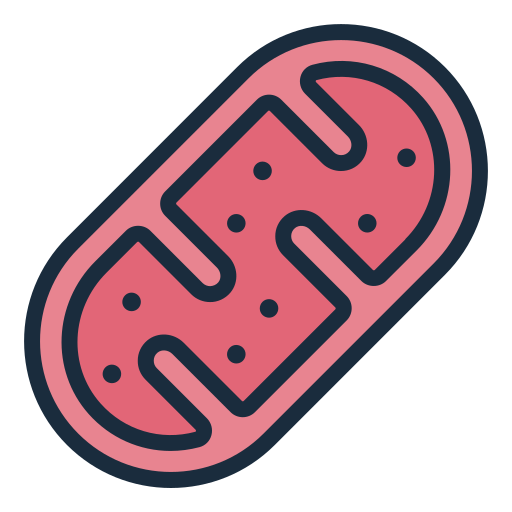 Mitochondria - Free miscellaneous icons