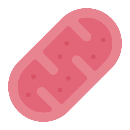 mitochondries Icône gratuit