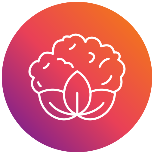 coliflor icono gratis