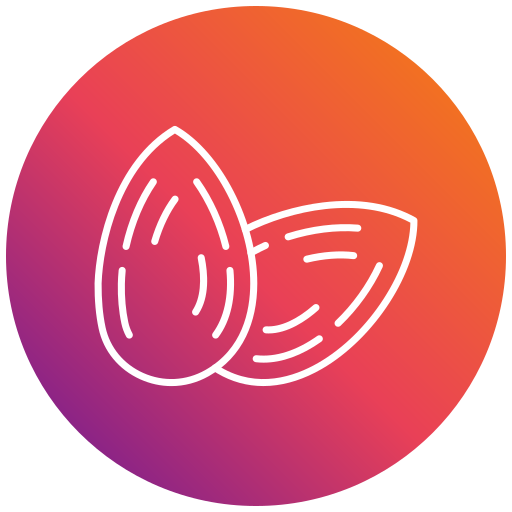 amandes Icône gratuit