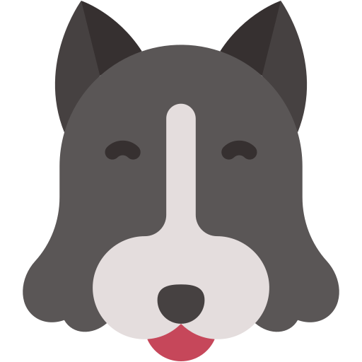 Border collie free icon