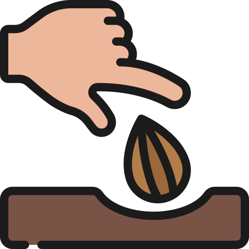 Seed free icon