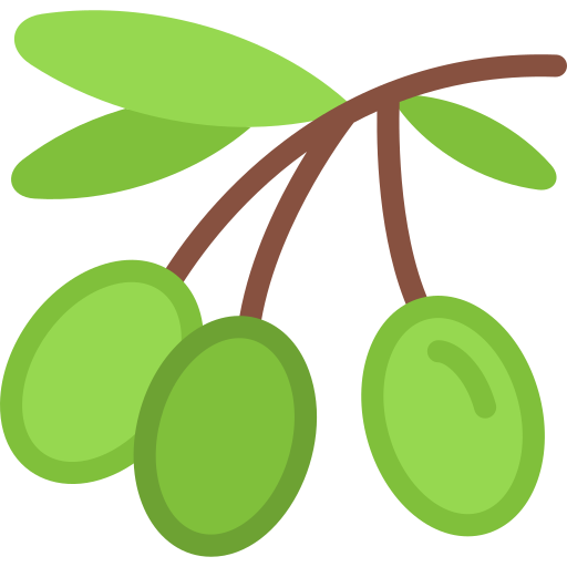 aceituna icono gratis