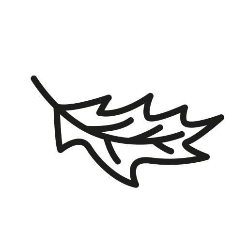 naturaleza icono gratis