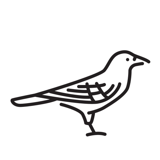 동물 무료 아이콘