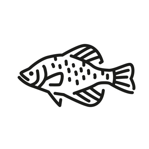 Crappie Fishing Line PNG Transparent Images Free Download