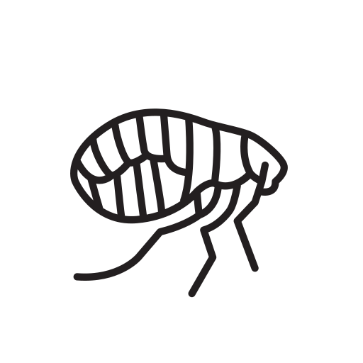 Животное бесплатно иконка Животное бесплатно иконка