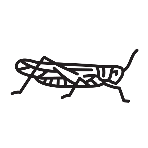 Животное бесплатно иконка