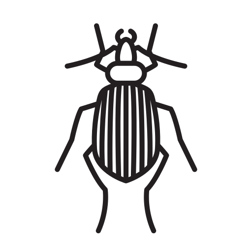 animal Icône gratuit