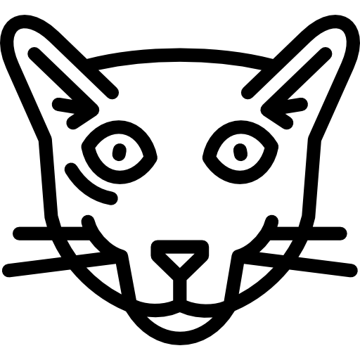 Khao manee cat Special Lineal icon