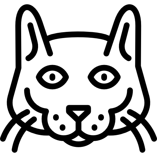 Korat Cat Special Lineal Icon