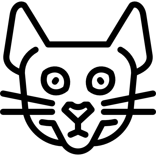 Singapura cat Special Lineal icon