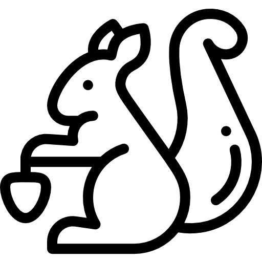 Écureuil Icône gratuit Écureuil Icône gratuit