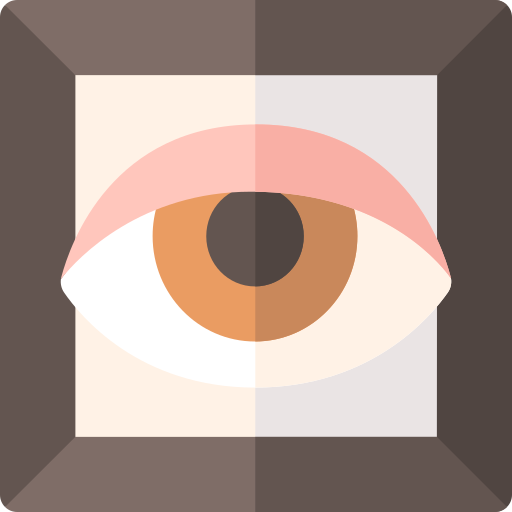 auge kostenlos Icon