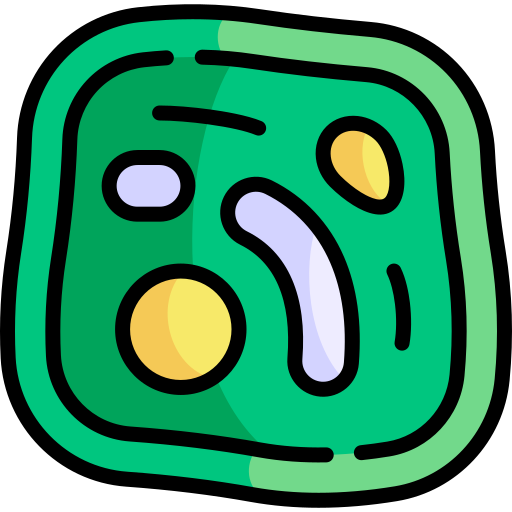 cellule de plante Icône gratuit cellule de plante Icône gratuit