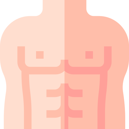 Abdominal Muscles PNG Transparent Images Free Download