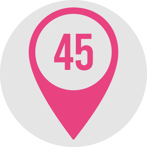 45 kostenlos Icon