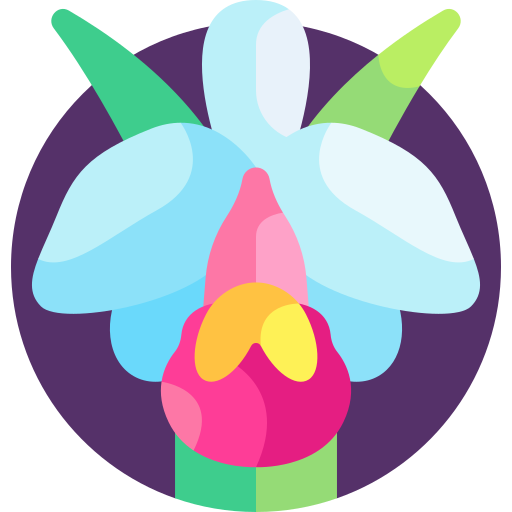 cattleya trianae icono gratis