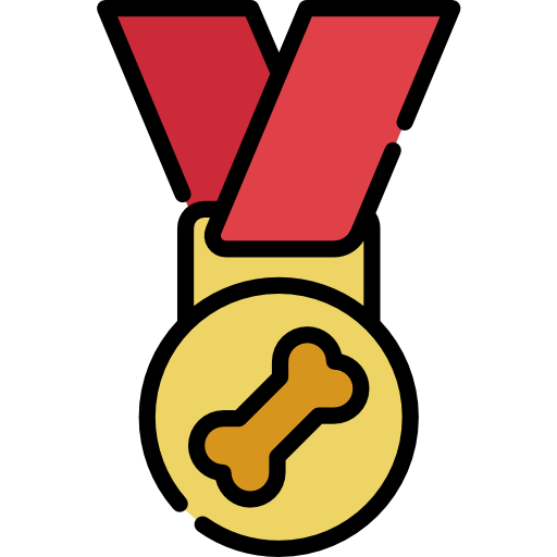 medalha grátis ícone