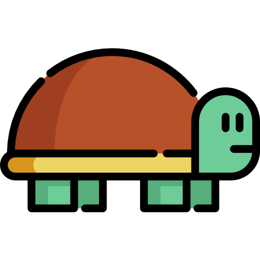 Turtle Special Lineal color icon