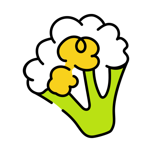 couve-flor grátis ícone couve-flor grátis ícone