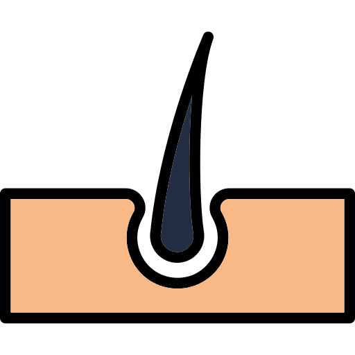 Follicle growth - Free arrows icons