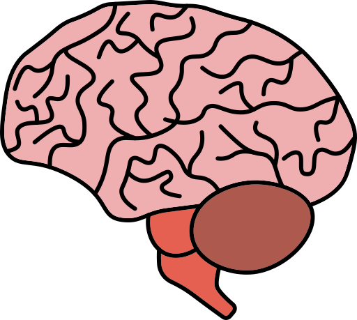 Brain Generic color lineal-color icon