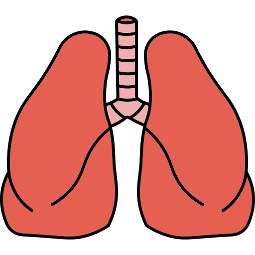 pulmones icono gratis