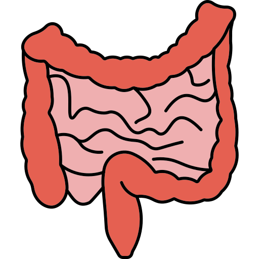 intestino icono gratis