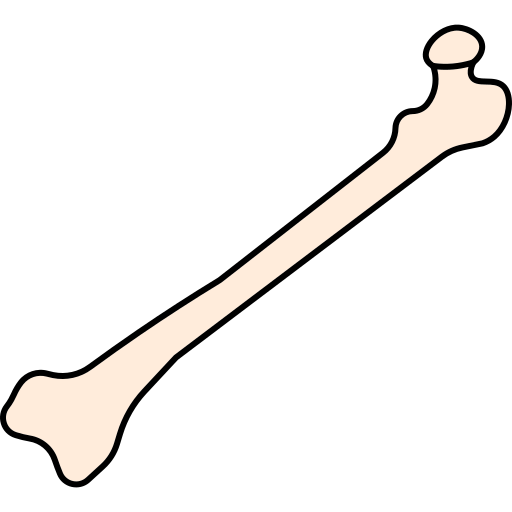 Bone free icon