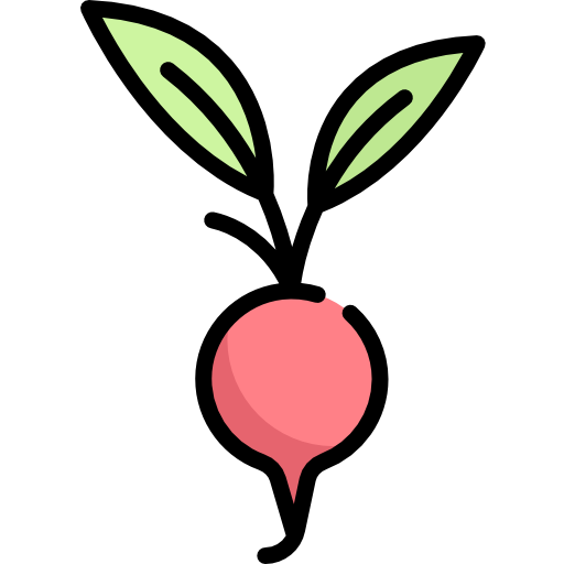 rábano icono gratis