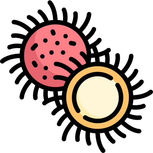 rambután icono gratis