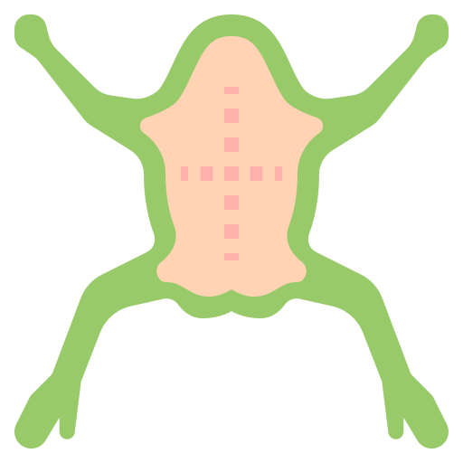 grenouille Icône gratuit grenouille Icône gratuit