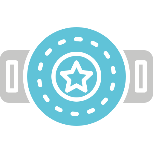 пояс чемпиона бесплатно иконка