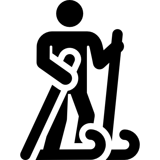 ski Icône gratuit