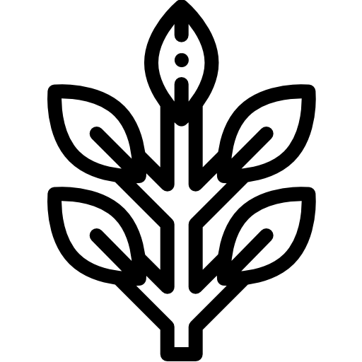 plantar grátis ícone