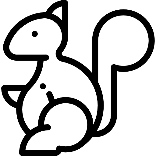 Squirrel free icon